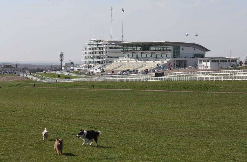 Houses for Sale in Epsom Downs Cairds